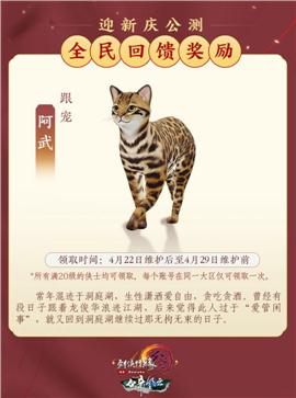 摸金天龙八部私服